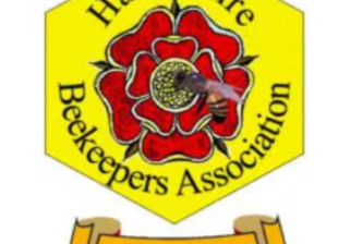 HBA Exec Report – October 10th, 2022