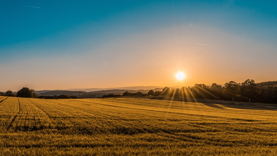 Amber Weather Warning