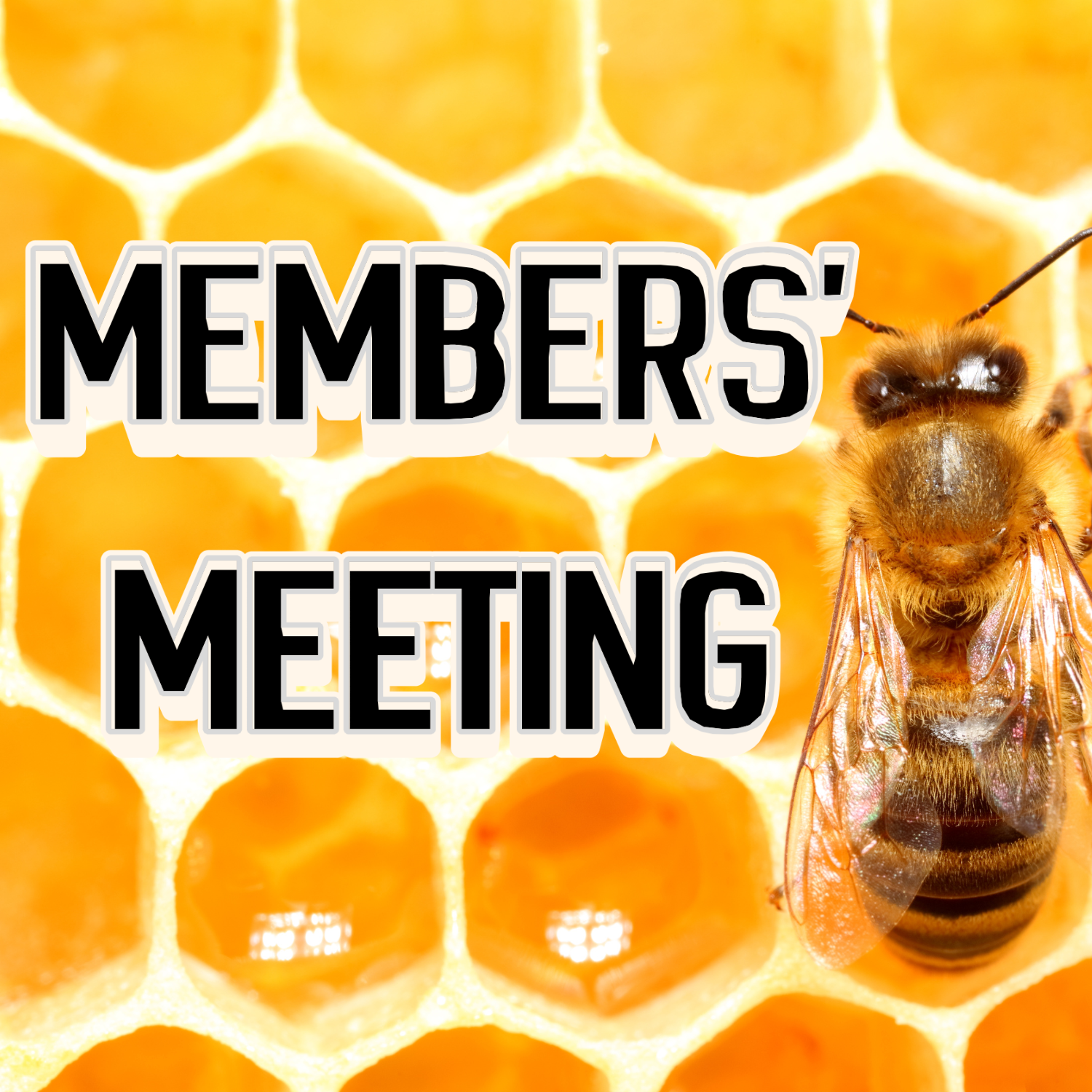 May Members’ Meeting