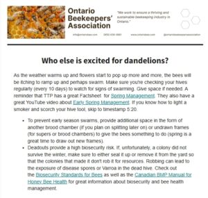 Ontario Beekeepers Newsletter image